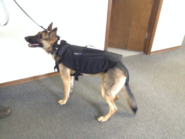 k-9-bulletproof-vest-bulletproof-vests-for-dogs