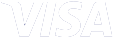 Visa logo