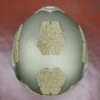 Green NIJ Level IIIA+ FAST Style High Cut Ballistic Helmet top view