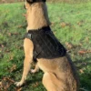 Artemis Dog Harness - No Pull No Tug No Choke Adjustable Breathable K-9 - Image 6